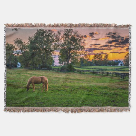 Couverture États-Unis, Lexington, Kentucky. Cheval solitaire  (Devant)