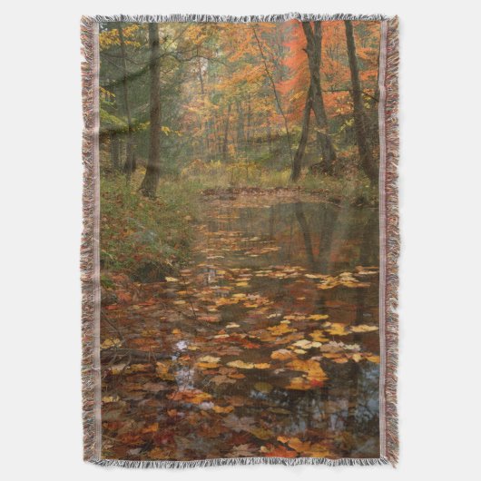 Couverture États-Unis, Virginie, Automne Dans Le Douthat Stat (devant Vertical)