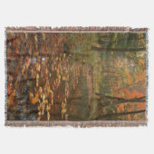 Couverture États-Unis, Virginie, Automne Dans Le Douthat Stat (Devant)