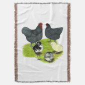 Couverture Famille de poules Orpington bleues (devant Vertical)