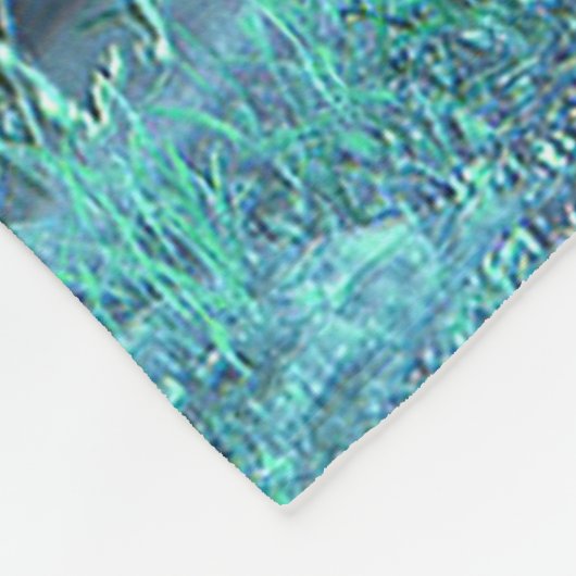 Couverture féerique d'ouatine de nuit (Coin)