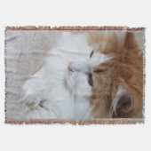 Couverture (Feline Fancy) Contemplation Kitty : Photo Cat (Devant)