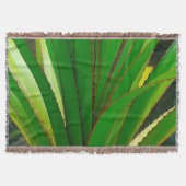 Couverture Fermeture de la colonne vertébrale (Devant)