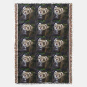 Couverture Ferret (devant Vertical)