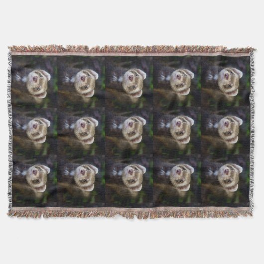 Couverture Ferret (Devant)
