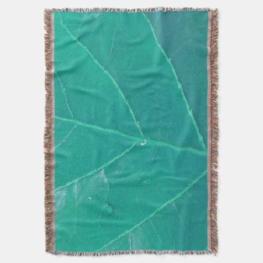 Couverture Feuille d'Aqua (devant Vertical)