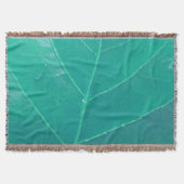 Couverture Feuille d'Aqua (Devant)