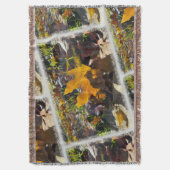 Couverture Feuille d'automne au soleil (devant Vertical)