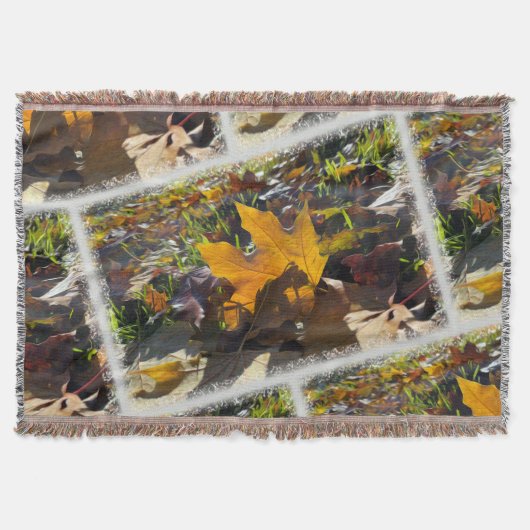 Couverture Feuille d'automne au soleil (Devant)