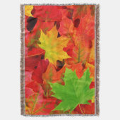 Couverture Feuilles d'automne (devant Vertical)