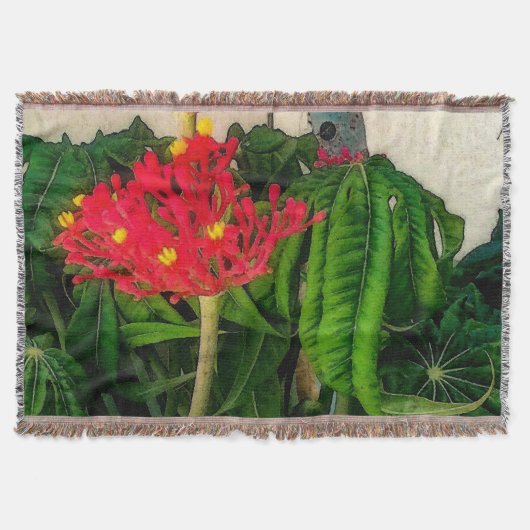 Couverture Feuilles et fleurs Plantes de corail (Devant)