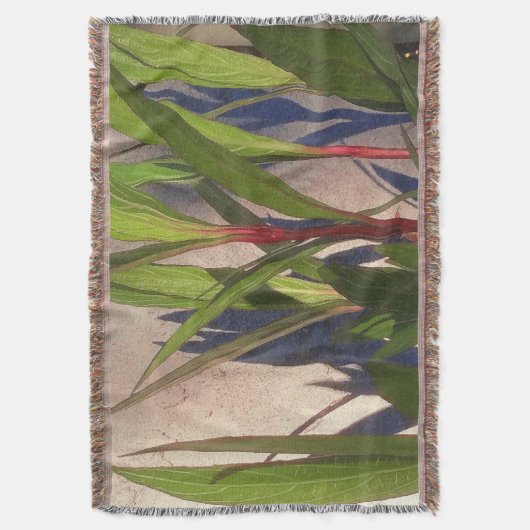 Couverture Feuilles et ombres (devant Vertical)