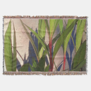 Couverture Feuilles et ombres