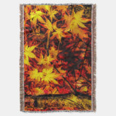 Couverture Feuilles japonais de l'érable à l'automne (devant Vertical)