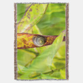 Couverture fixation calme (devant Vertical)