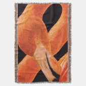 Couverture Flamant rose (devant Vertical)