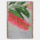 COUVERTURE FLEUR AUSTRALIE DE BROSSE DE BOUTEILLE DE (devant Vertical)