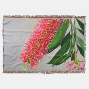 COUVERTURE FLEUR AUSTRALIE DE BROSSE DE BOUTEILLE DE