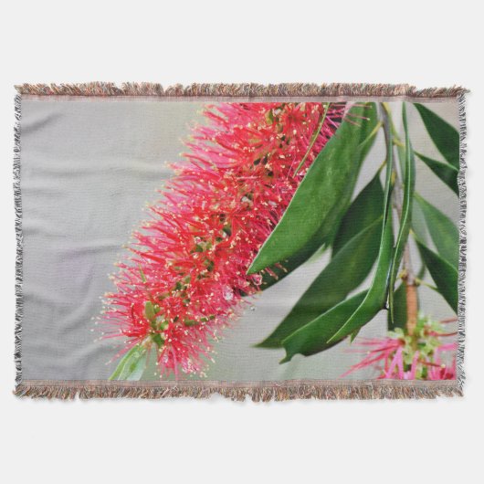 COUVERTURE FLEUR AUSTRALIE DE BROSSE DE BOUTEILLE DE (Devant)