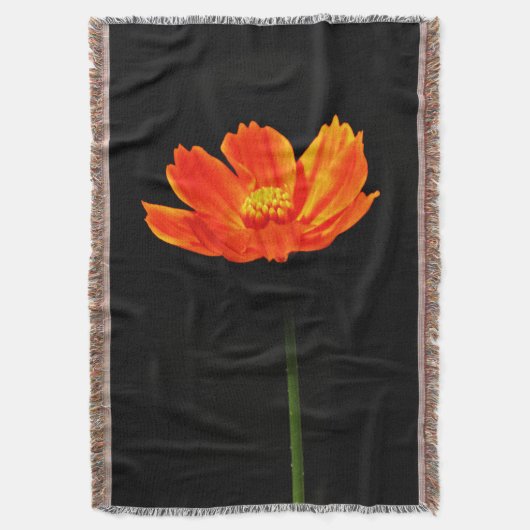 Couverture Fleur Cosmos (devant Vertical)