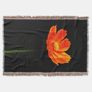 Couverture Fleur Cosmos