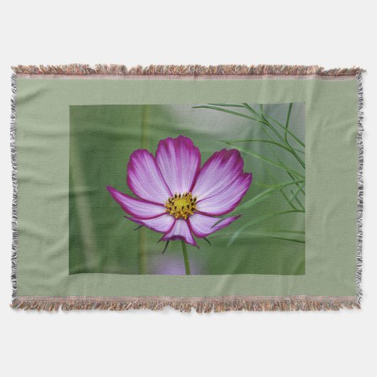 Couverture Fleur de cosmos (Devant)