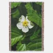 Couverture Fleur de fraises sauvages (devant Vertical)