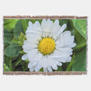 Couverture Fleur Sauvage Roumanie – Photographie Botanique Ma