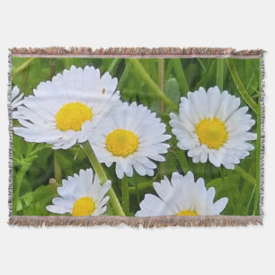 Couverture Fleurs de jardin sauvage Roumanie – Photographie d