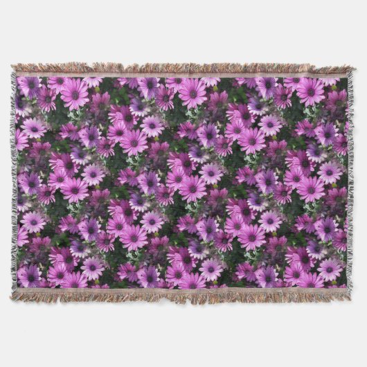Couverture Fleurs de marguerite africaine violet Motif de la (Devant)