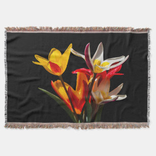 Couverture Fleurs de tulipe contre arrière - plan noir