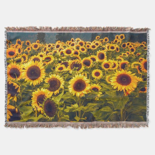 Couverture Fleurs du paysage du terrain de tournesol Jaune (Devant)