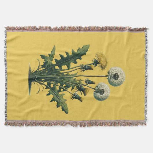 Couverture Fleurs Vintages jaunes (Devant)