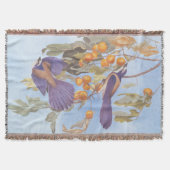 Couverture Floride Scrub Jay Audubon Bird Pair sur Orange Tre (Devant)