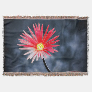 Couverture Flowers