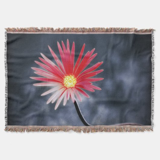 Couverture Flowers (Devant)
