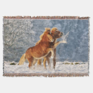 Couverture Foal de cheval islandais jouant dans la neige amus