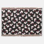 Couverture Folie de lama (Devant)