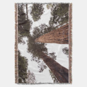 Couverture forêt, arbre (devant Vertical)