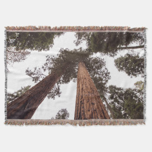Couverture forêt, arbre