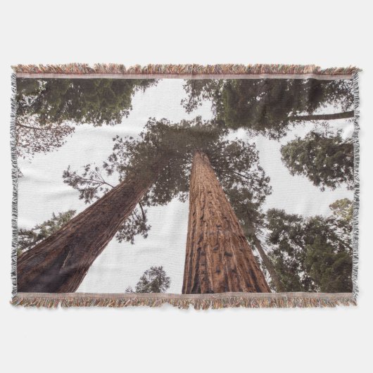 Couverture forêt, arbre (Devant)