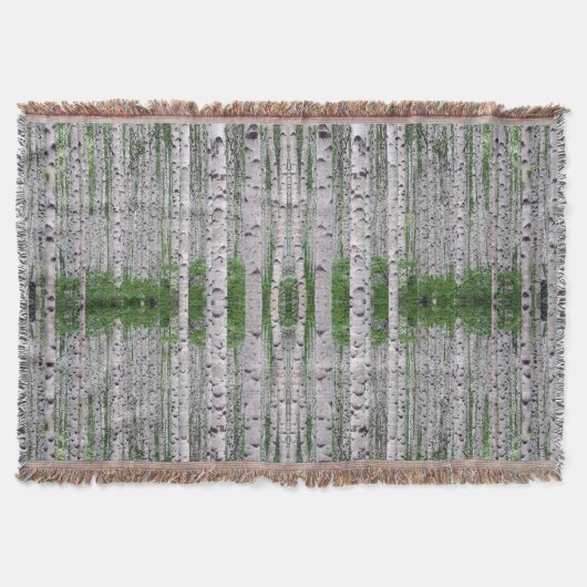 Couverture Forêt de Birch Nature (Devant)
