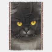 Couverture Funny Fluffeux noir Perse noir chaton visage (devant Vertical)