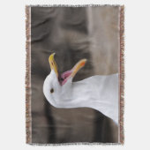 Couverture FUNNY Seagull (devant Vertical)