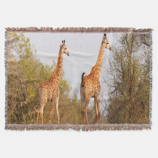 Couverture Giraffe Pair (Devant)