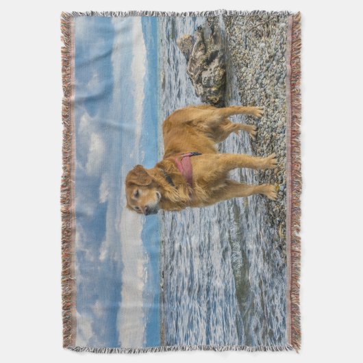 Couverture Golden retriever se tenant sur l'océan bleu (devant Vertical)