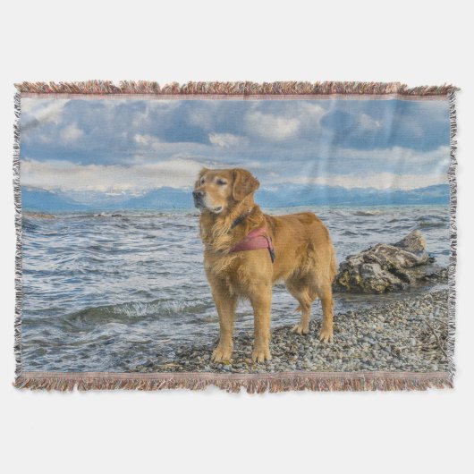 Couverture Golden retriever se tenant sur l'océan bleu (Devant)