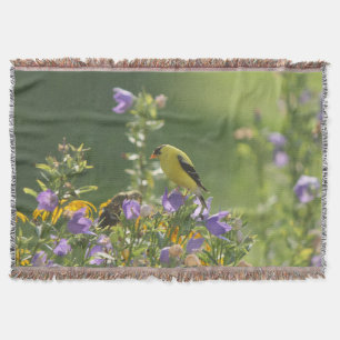 Couverture Goldfinch sur Harebell Flower