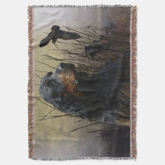 Couverture Gordon Setter, compagnon de chasse (devant Vertical)