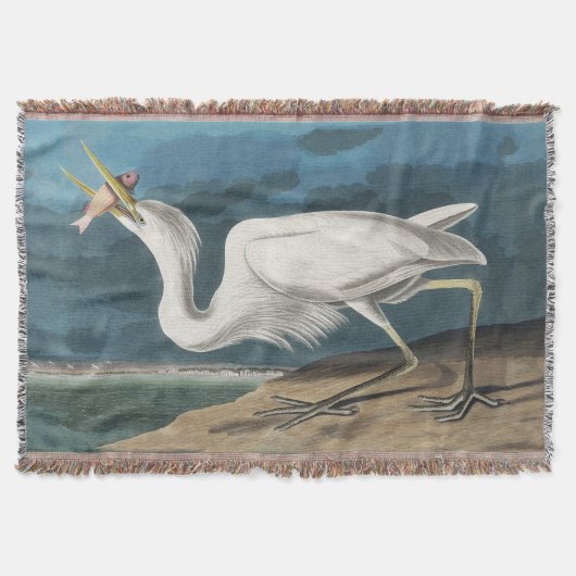 Couverture Grande Peinture de la faune d'Audubon Heron blanc (Devant)